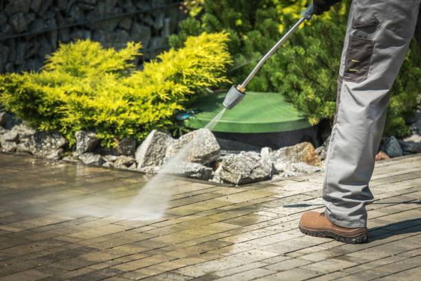 Professional  Pressure Washing Services in Mount Pleasant, TX