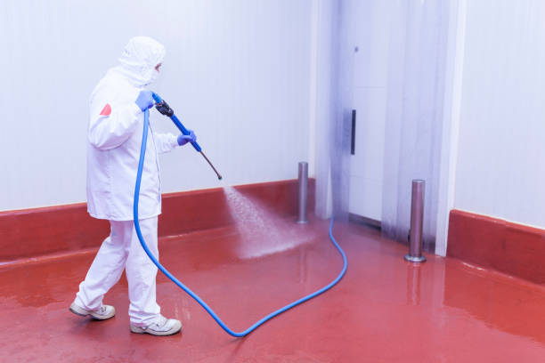 Best Boat and Dock Cleaning  in Mount Pleasant, TX